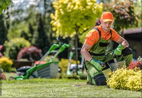 Imagem Limpeza Hospitalar